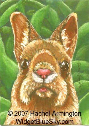 Cat paintings for sale and rent