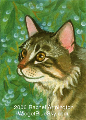 Cat paintings for sale and rent